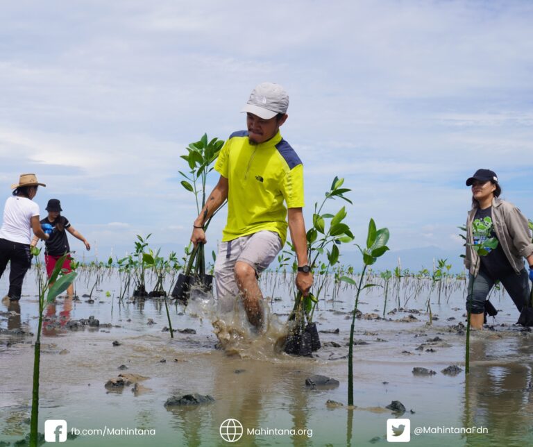World Environment Day 2023: “Solutions to Plastic Pollution”