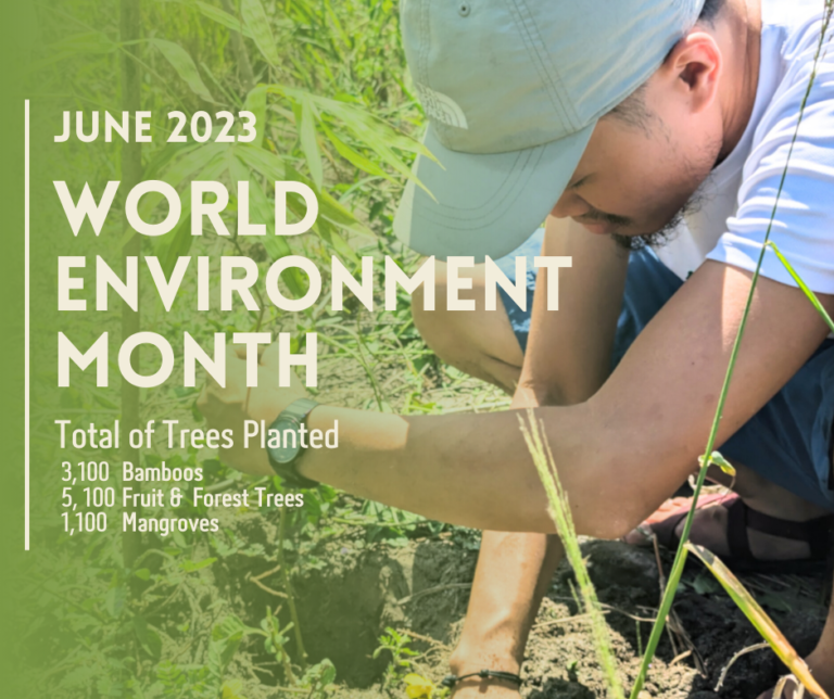 WORLD ENVIRONMENT MONTH 2023