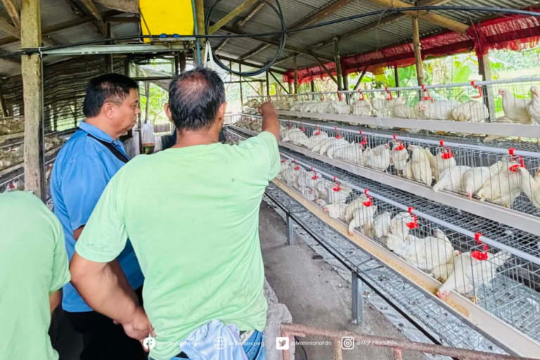 Turnover of Ready-to-Lay (RTL) chickens to three partner People’s Organizations in Polomolok, South Cotabato: